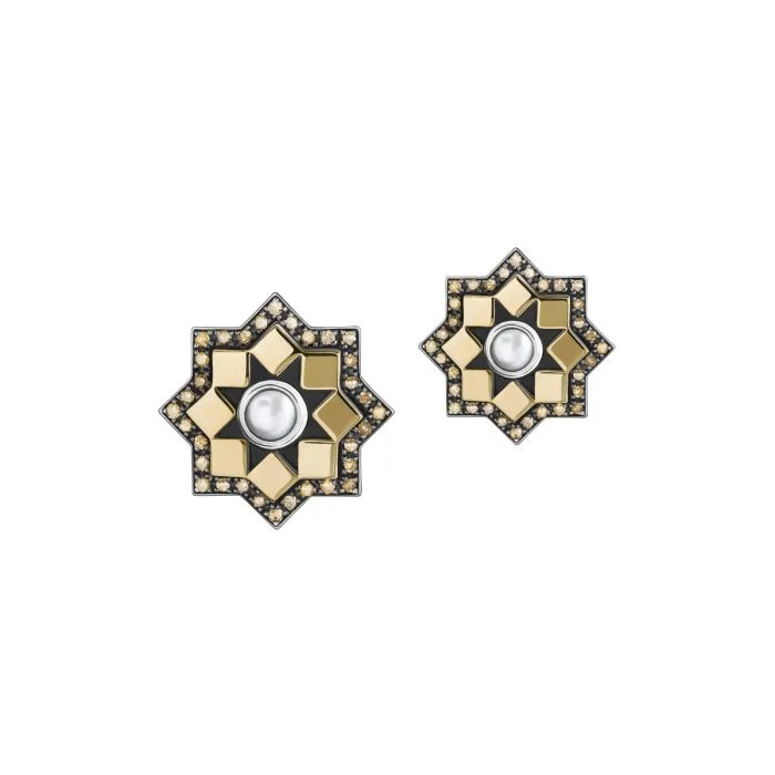 Best hoop earrings with gold-plated finishes for an affordable luxury vibe-Jashankir Earrings